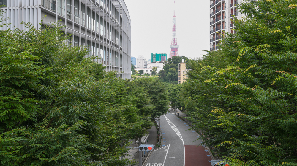 動画記事】東京・港区の名所を旅ラン！ レインボーブリッジや
